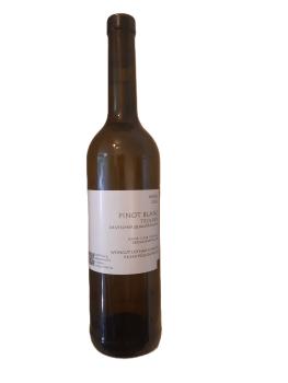 2024er Pinot Blanc trocken